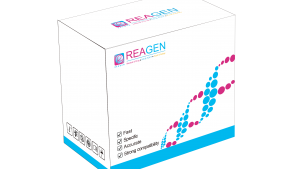 馬、驢源性恒溫核酸檢測試劑盒